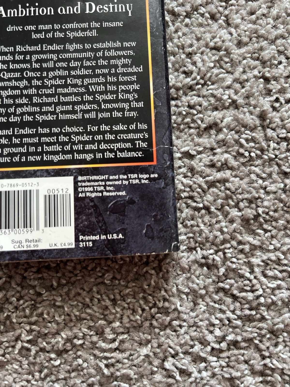 The Spider&rsquo;s Test by Dixie Lee McKeone (TSR, 1996) First Vintage Fantasy MMPB