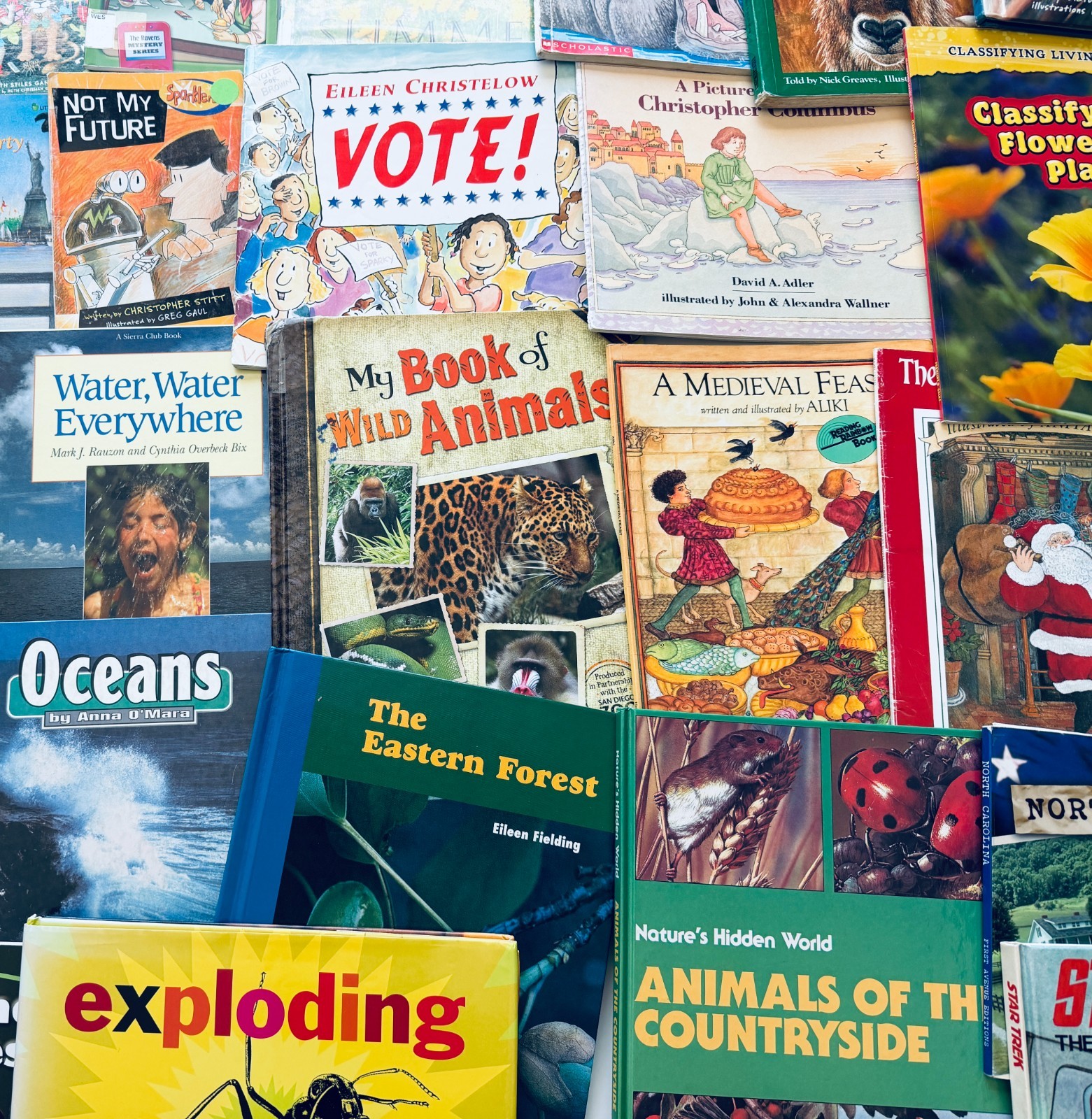 Lot of 10 Random Children&rsquo;s Books, Grades 2-3, Homeschool Library/Teacher Librar