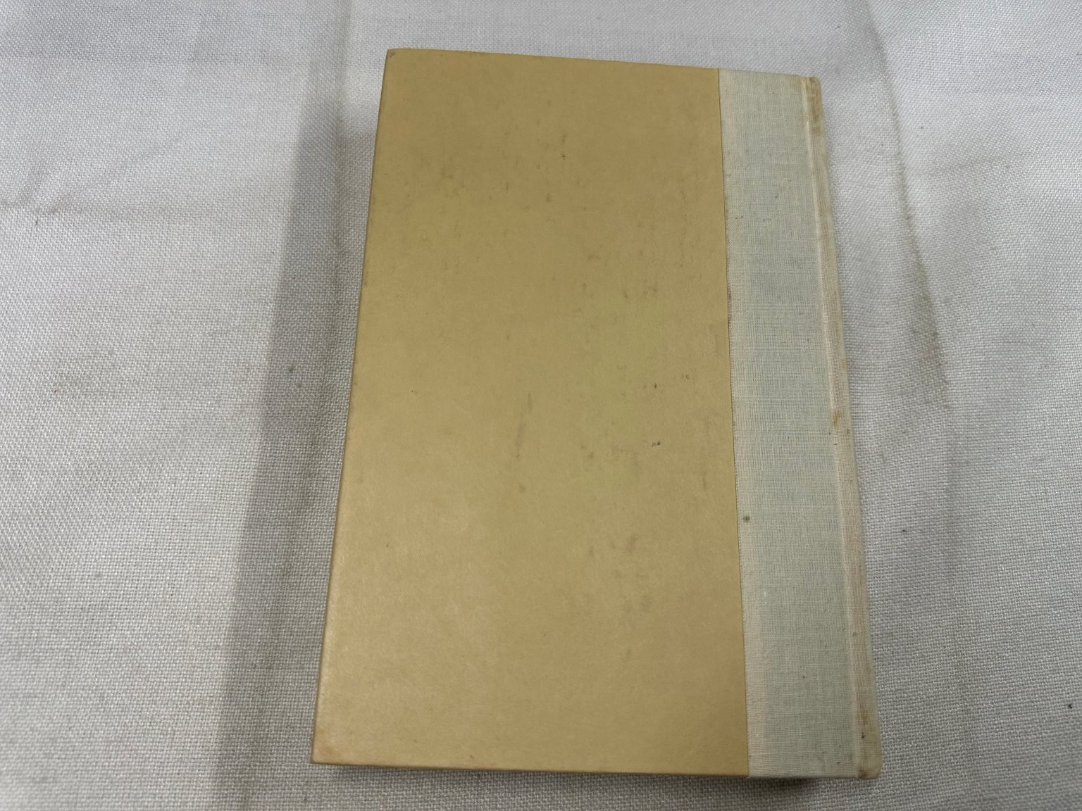 Angel of Light Joyce Carol Oates 1982 First Edition Novel E. P. Dutton
