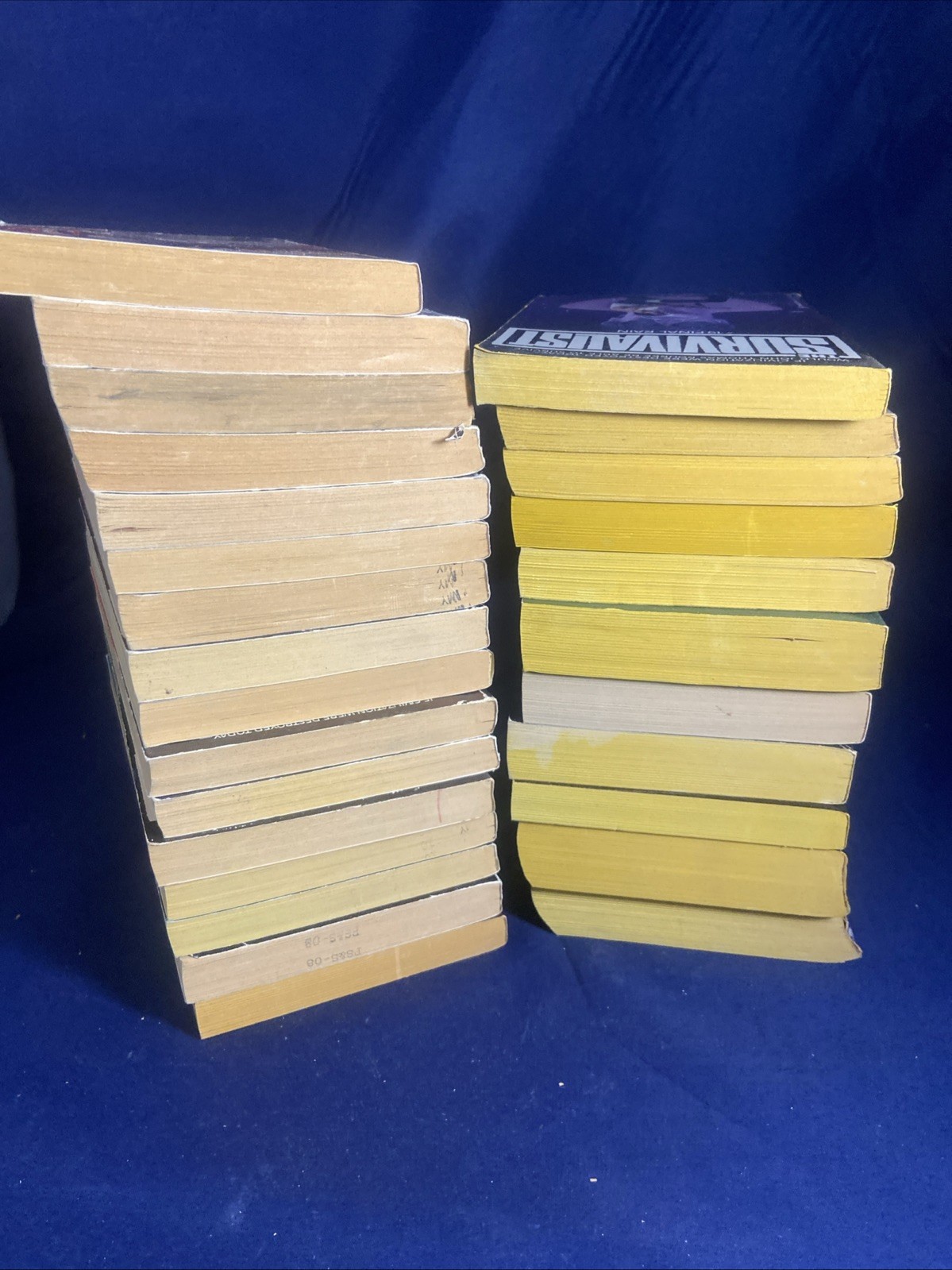 The Survivalist Jerry Ahern PAPERBACK LOT 1-16; 19-24 + Mid-Wake/The Legend NICE