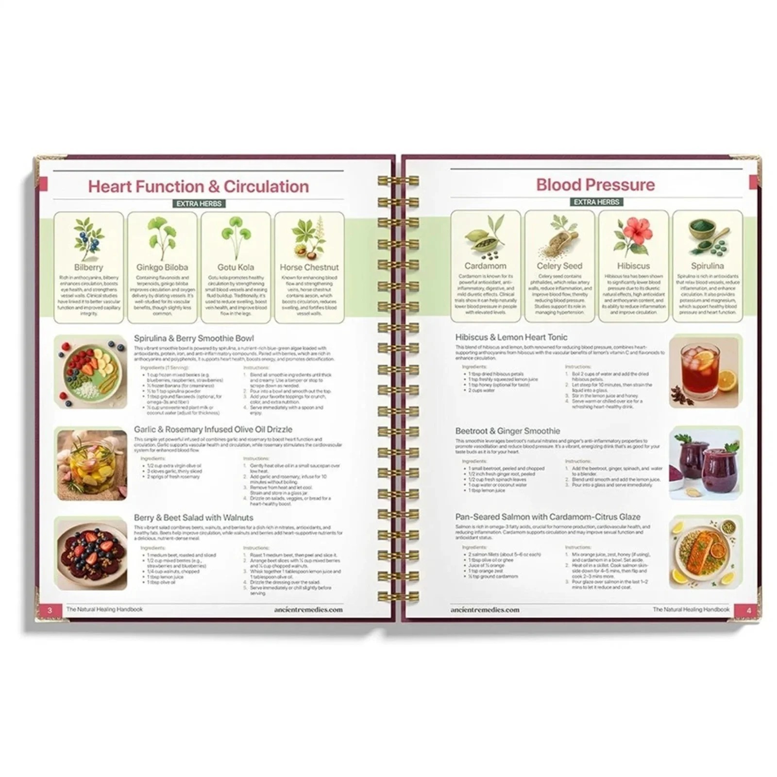 The Natural Healing Handbook, Spiral-Bound Guide for Herbal Remedies and Natural