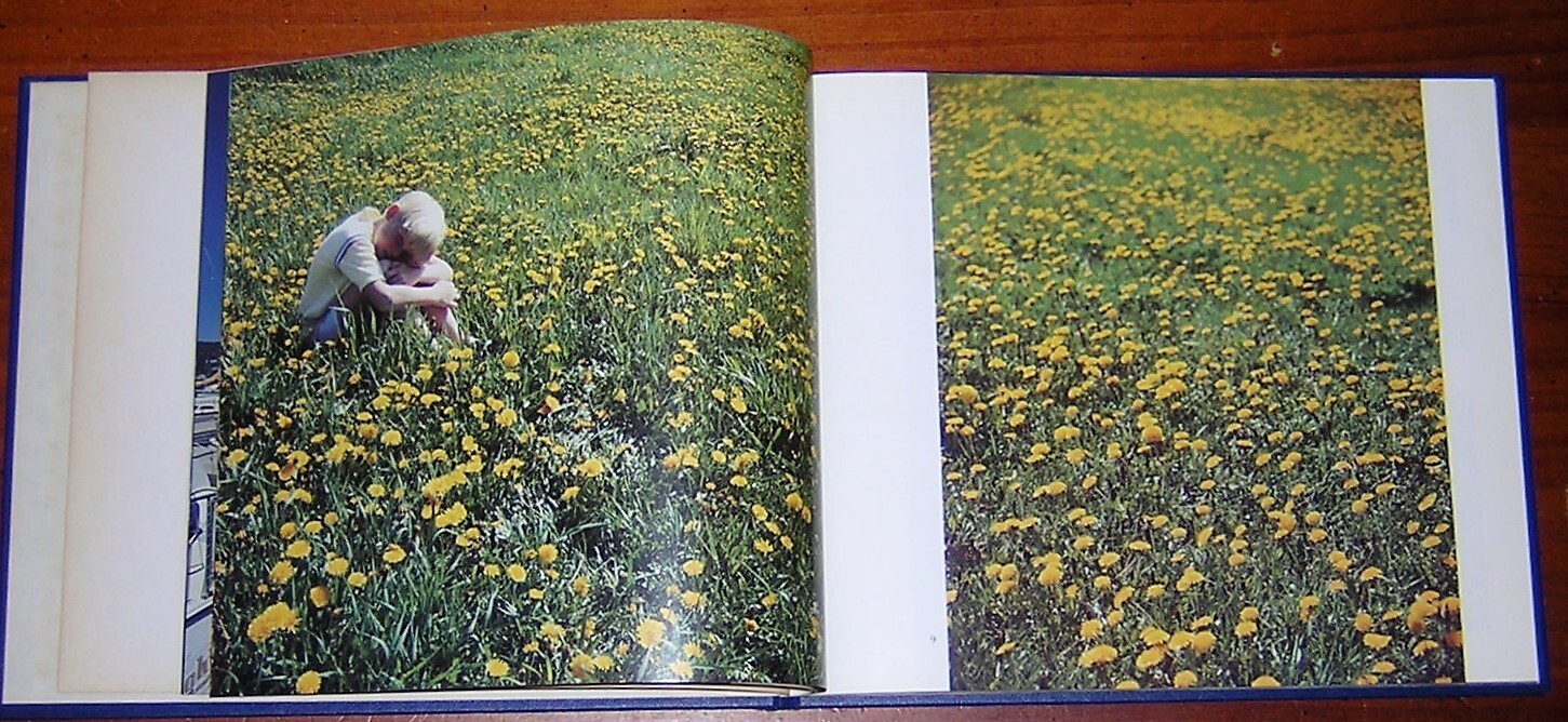 Minnesota Photographs by Hans & Pat Petruska 1985 Hardcover with Color Photos