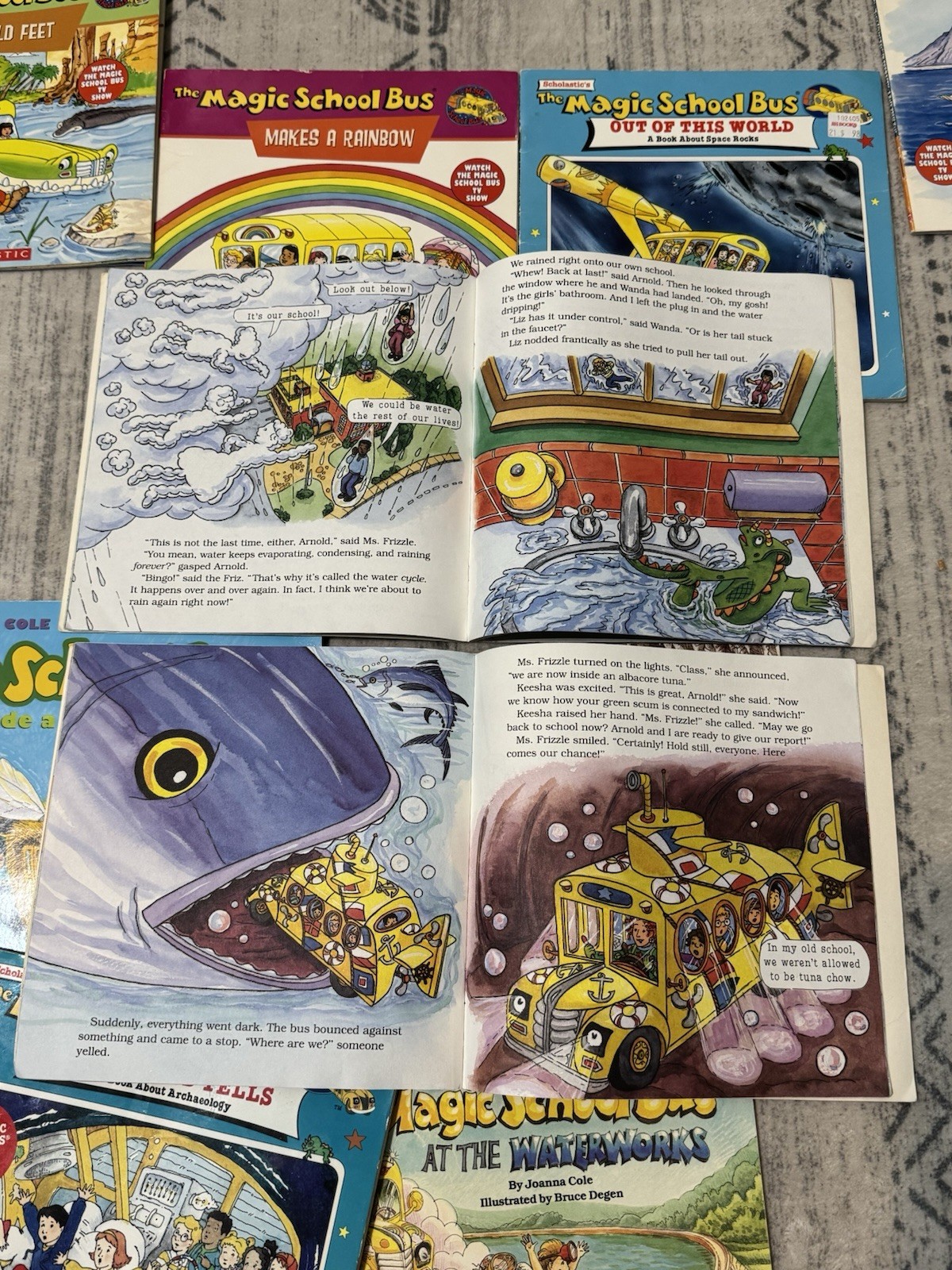 Magic School Bus Book Lot 18 Joanna Cole Scholastic