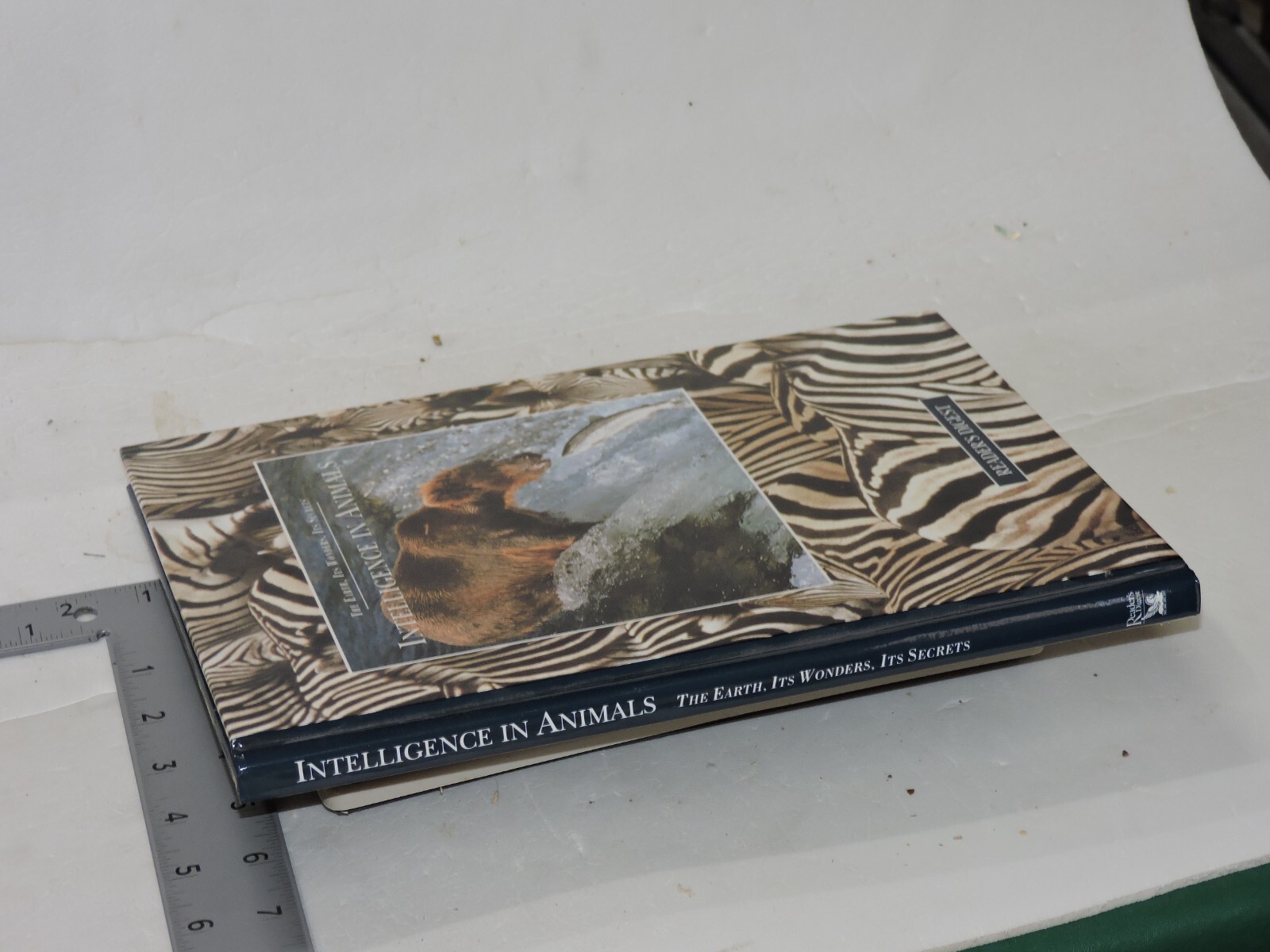Secret Life of Animals by Reader&rsquo;s Digest Editors (1998, Hardcover)