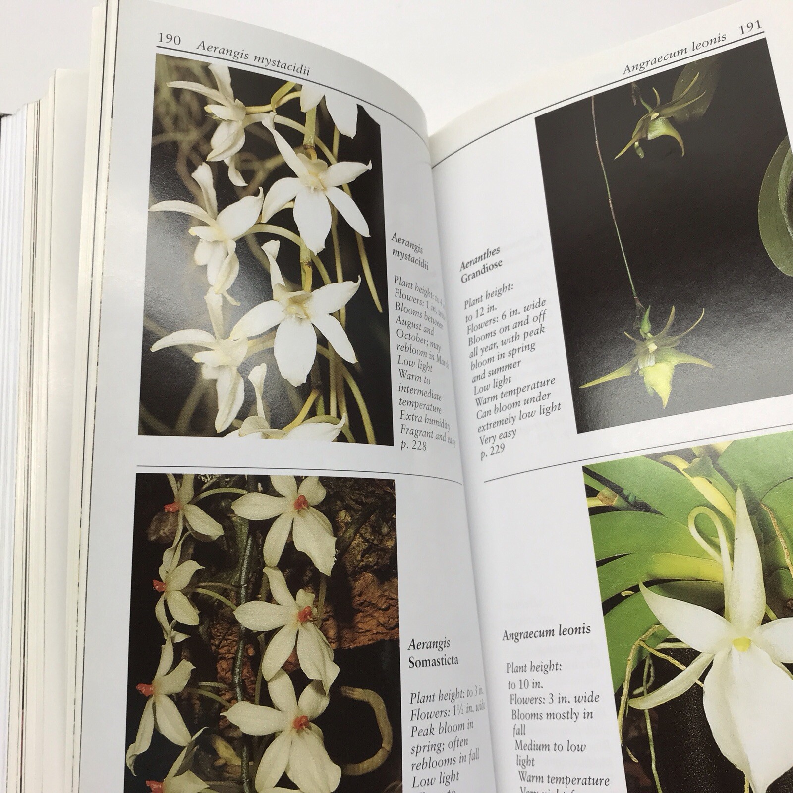 Taylor&rsquo;s Guide to Orchids~1996~Judy White~Ex Library