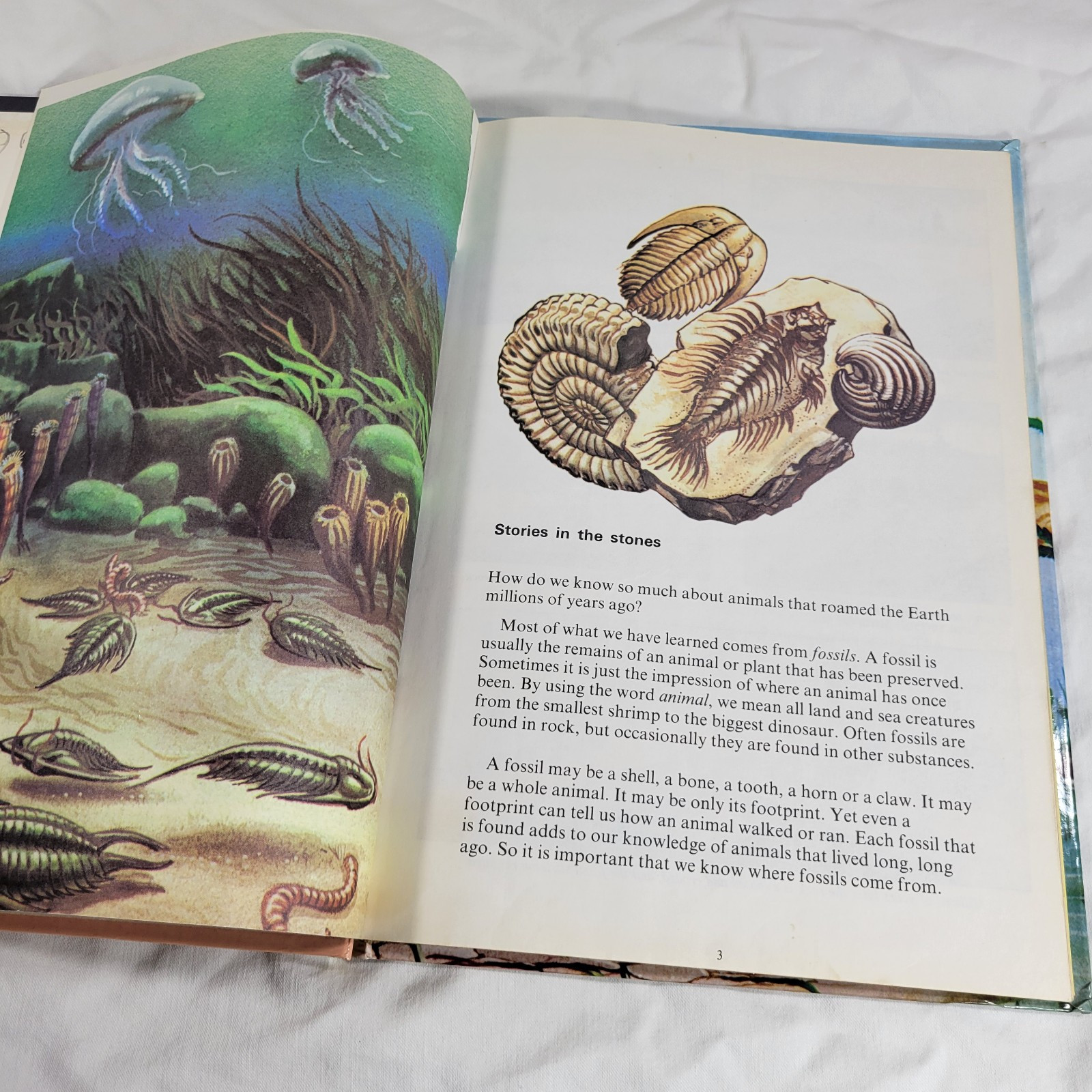 Dinosaurs And Prehistoric Animals Book Vintage 1981 Kid&rsquo;s Hardcover Honey Bear