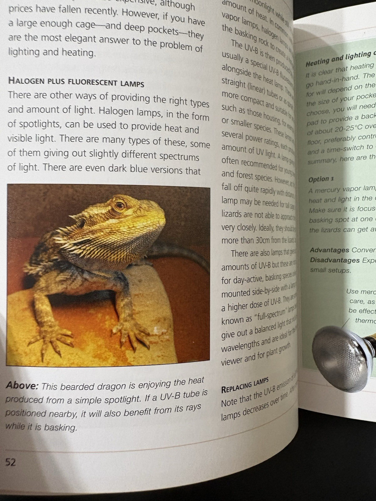 Barron&rsquo;s Mini Encyclopedia Bearded Dragons Chris Mattison Paperback 2011 Illus