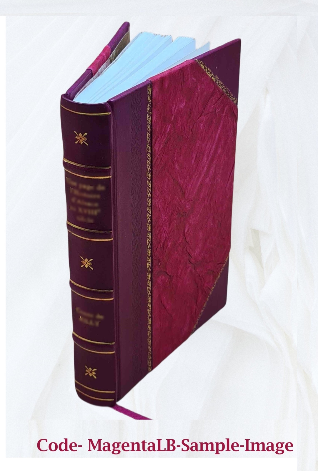 The Lady&rsquo;S Manual Of Homeopathic Treatment In The Various Derang [Leather Bound]