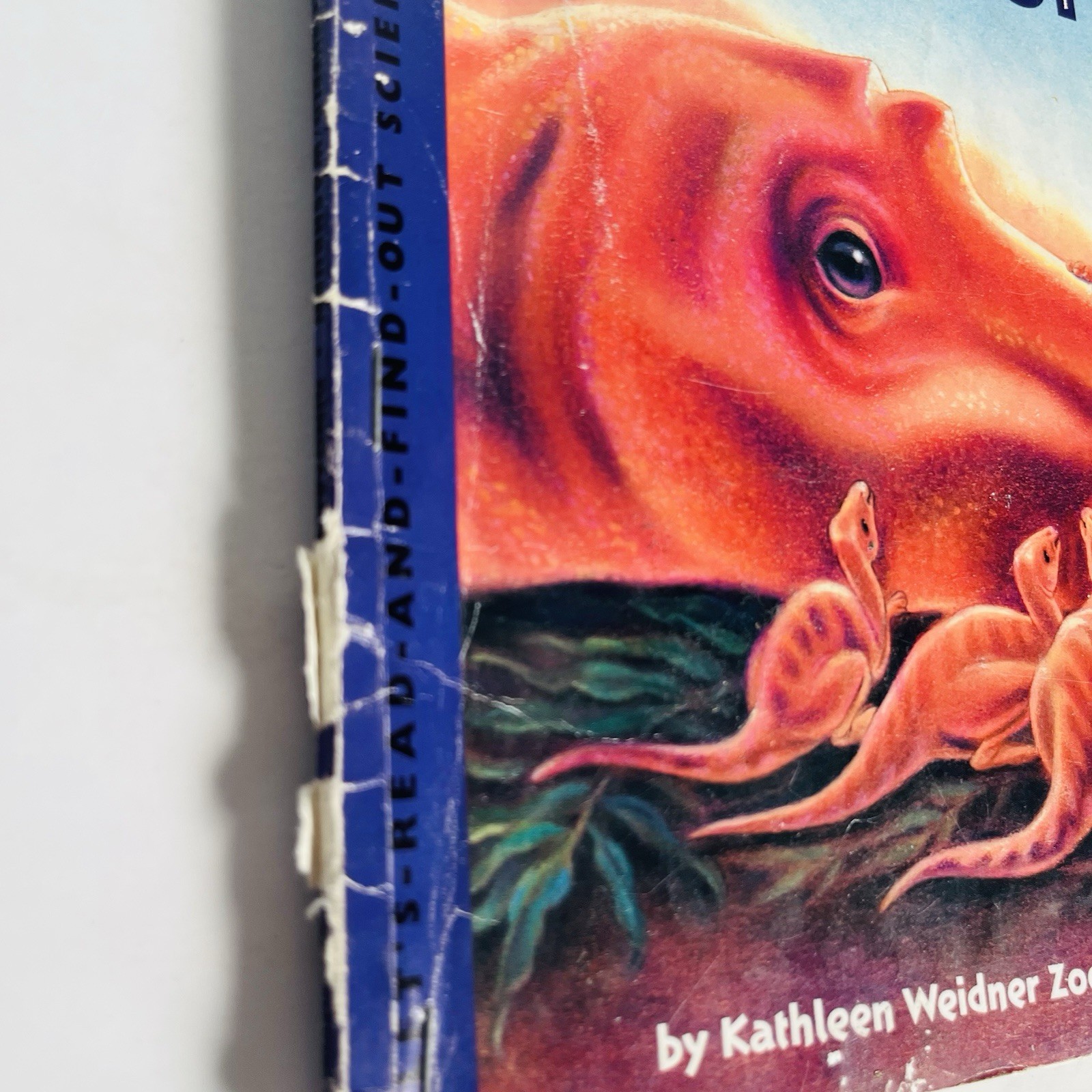 Lets Read and Find Out Science Book Lot 12 Hamburger Skeleton Planets Dinosaur P
