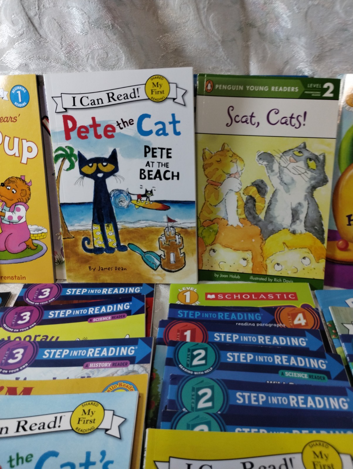 Lot Of 30 Early Beginnings Young Readers – Levels 1, 2 , 3