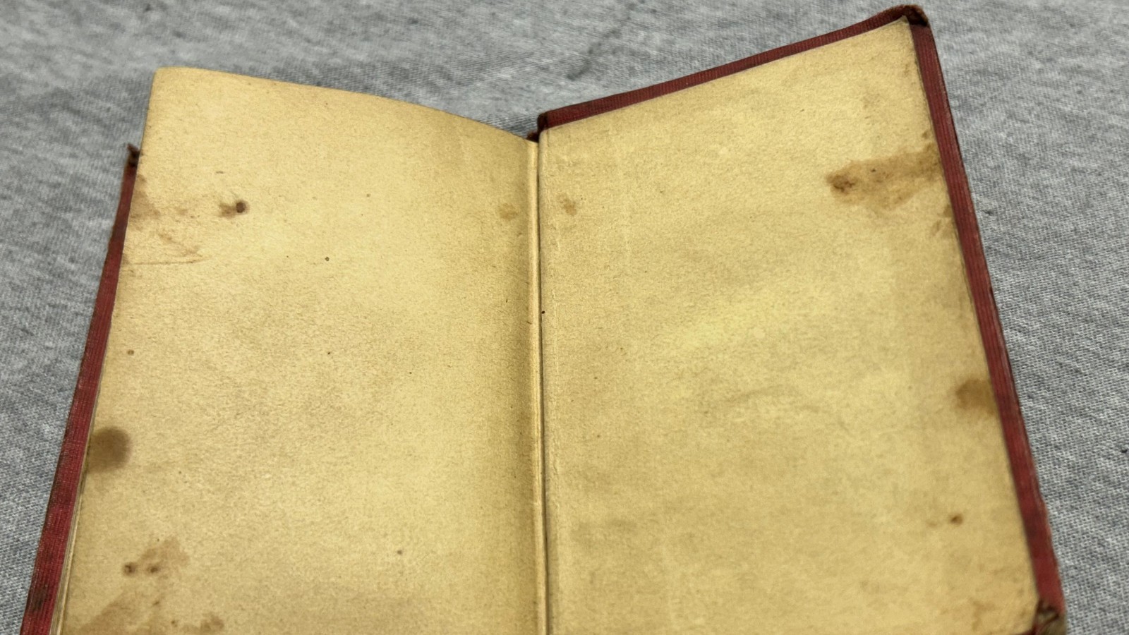 Dated 1847, FLORA&rsquo;S ALBUM Language of Flowers Mini Antique Book