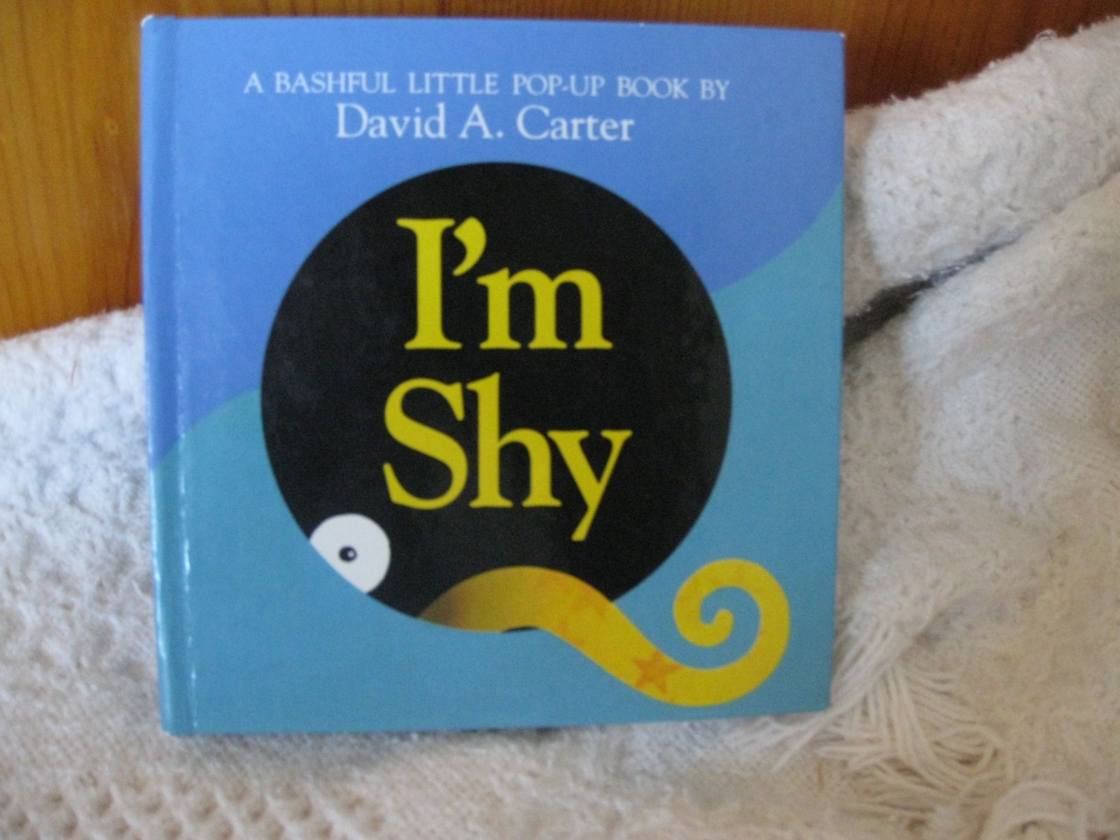 I&rsquo;M SHY ~ A Bashful Little Pop-Up Book ~ By David A. Carter ~ 1993