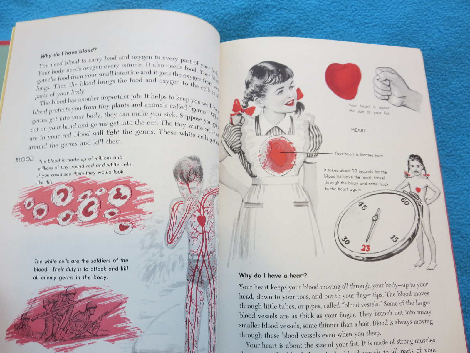 Words to Know Questions Children Ask VTG Home School Preschool