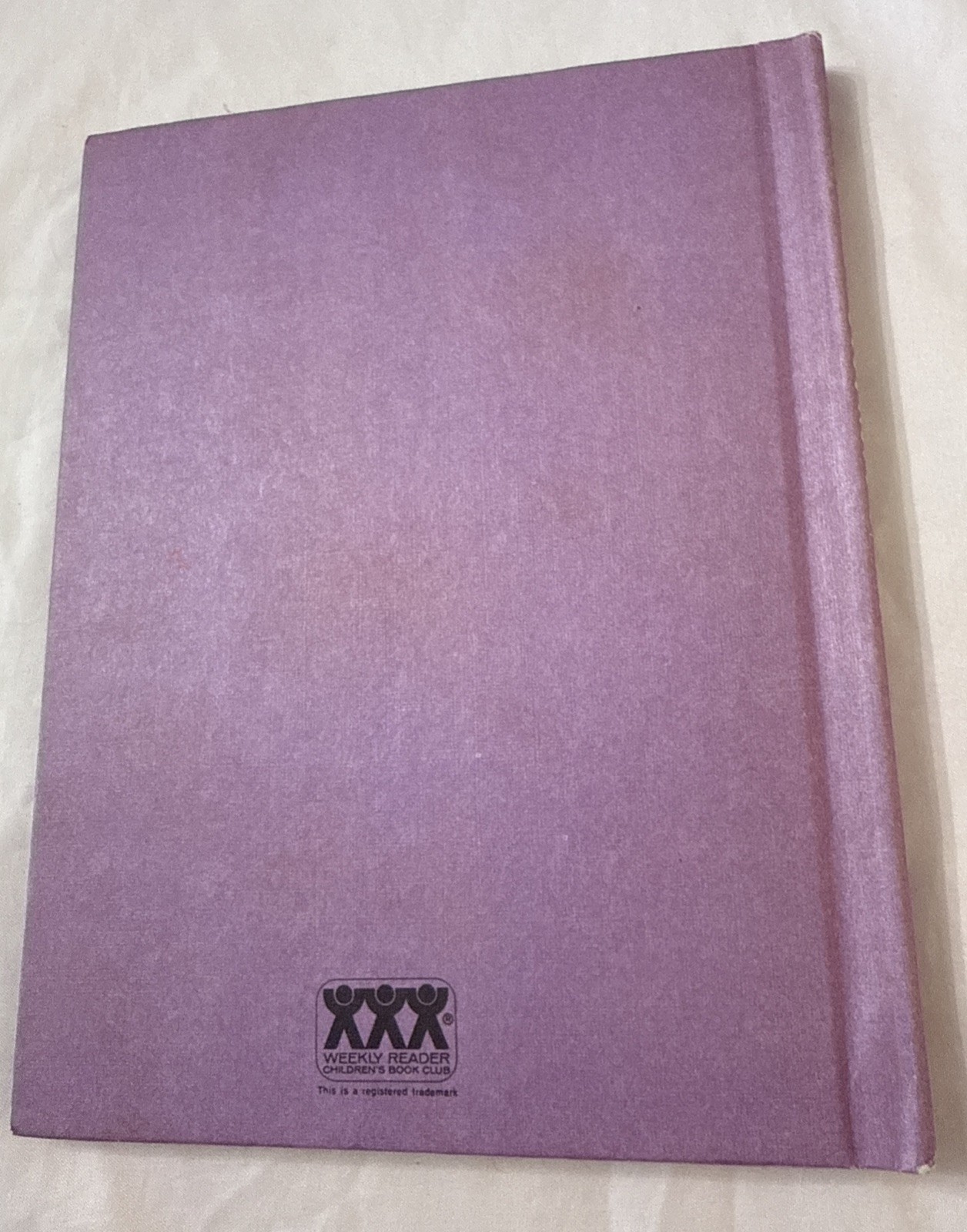 1973 « The Case Of The Elevator Duck » by Polly Berrien Berends Hardcover Book