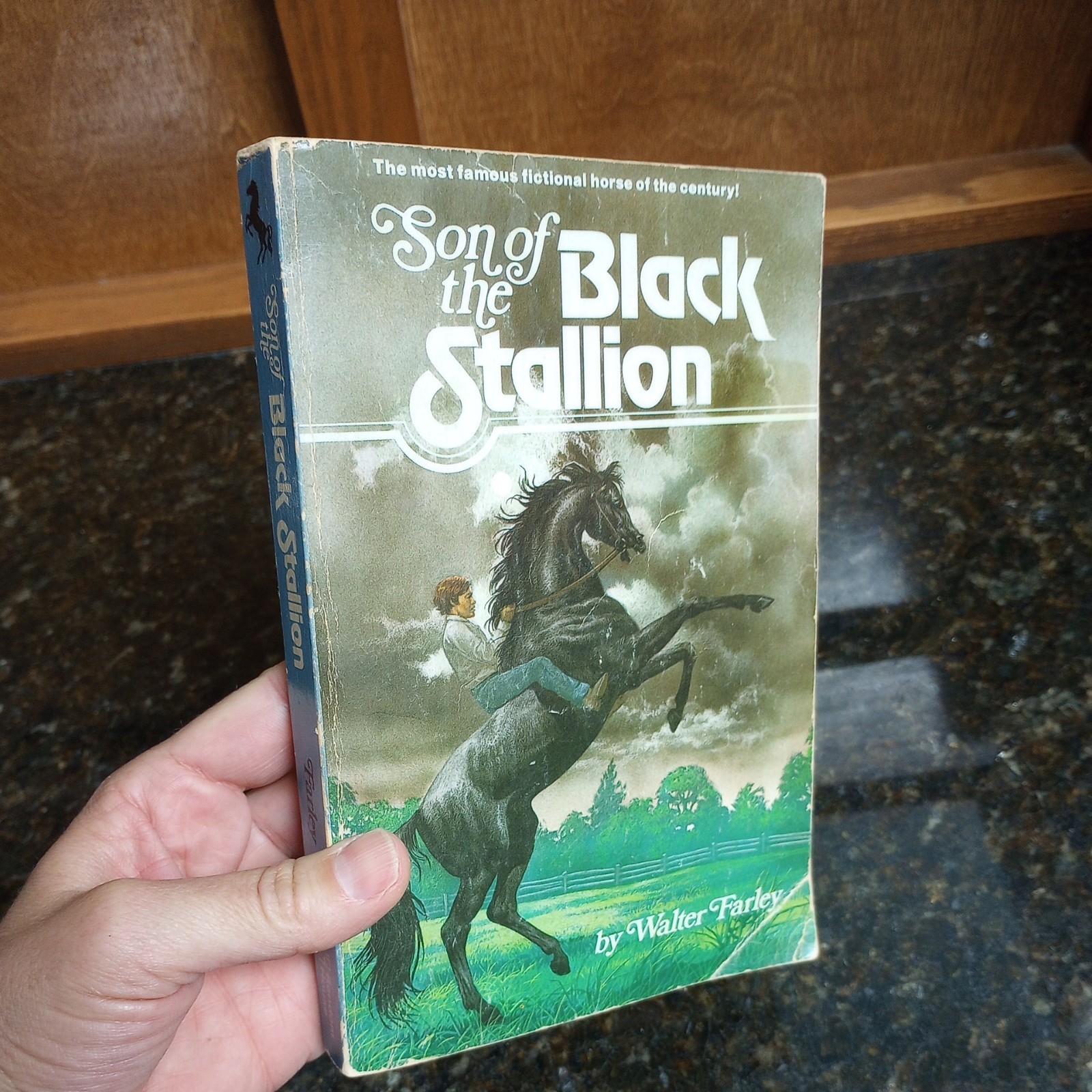 The Black Stallion Set Of varies Paperback Books 1980’s Walter Farley LOT of 6