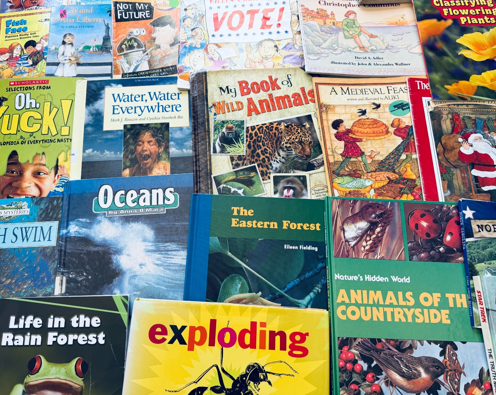 Lot of 10 Random Children&rsquo;s Books, Grades 2-3, Homeschool Library/Teacher Librar