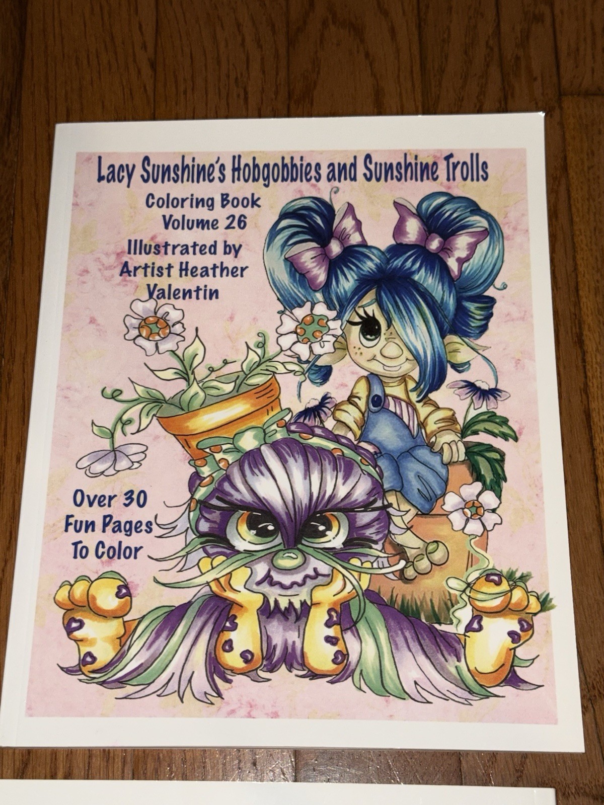 4 Adult Coloring Books: Heather Valentin under the « Lacy Sunshine » brand