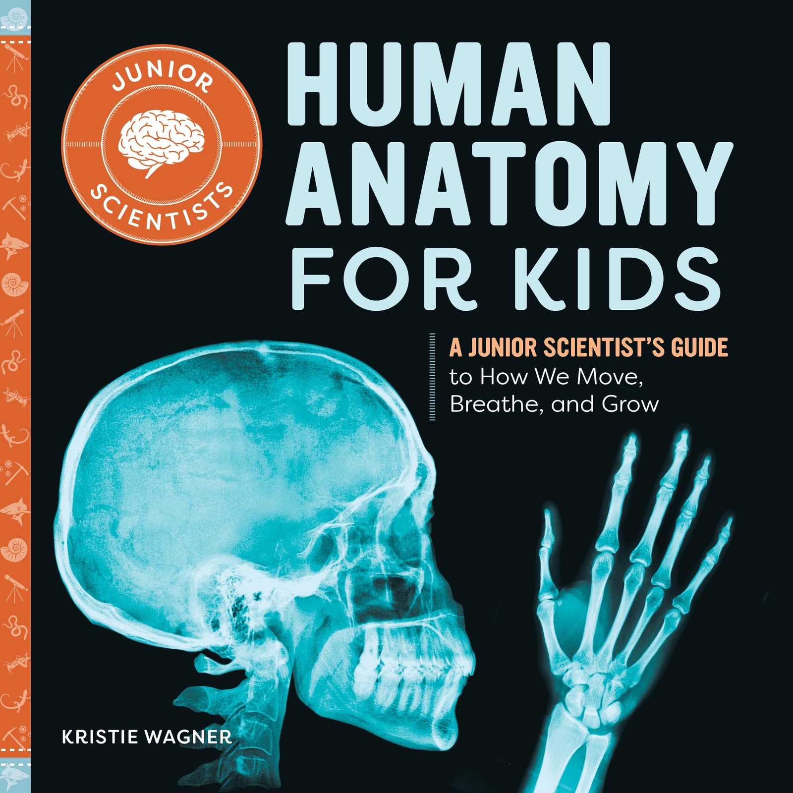 Human Anatomy for Kids: A Junior Scientist&rsquo;s Guide to How We Move, Breathe, …