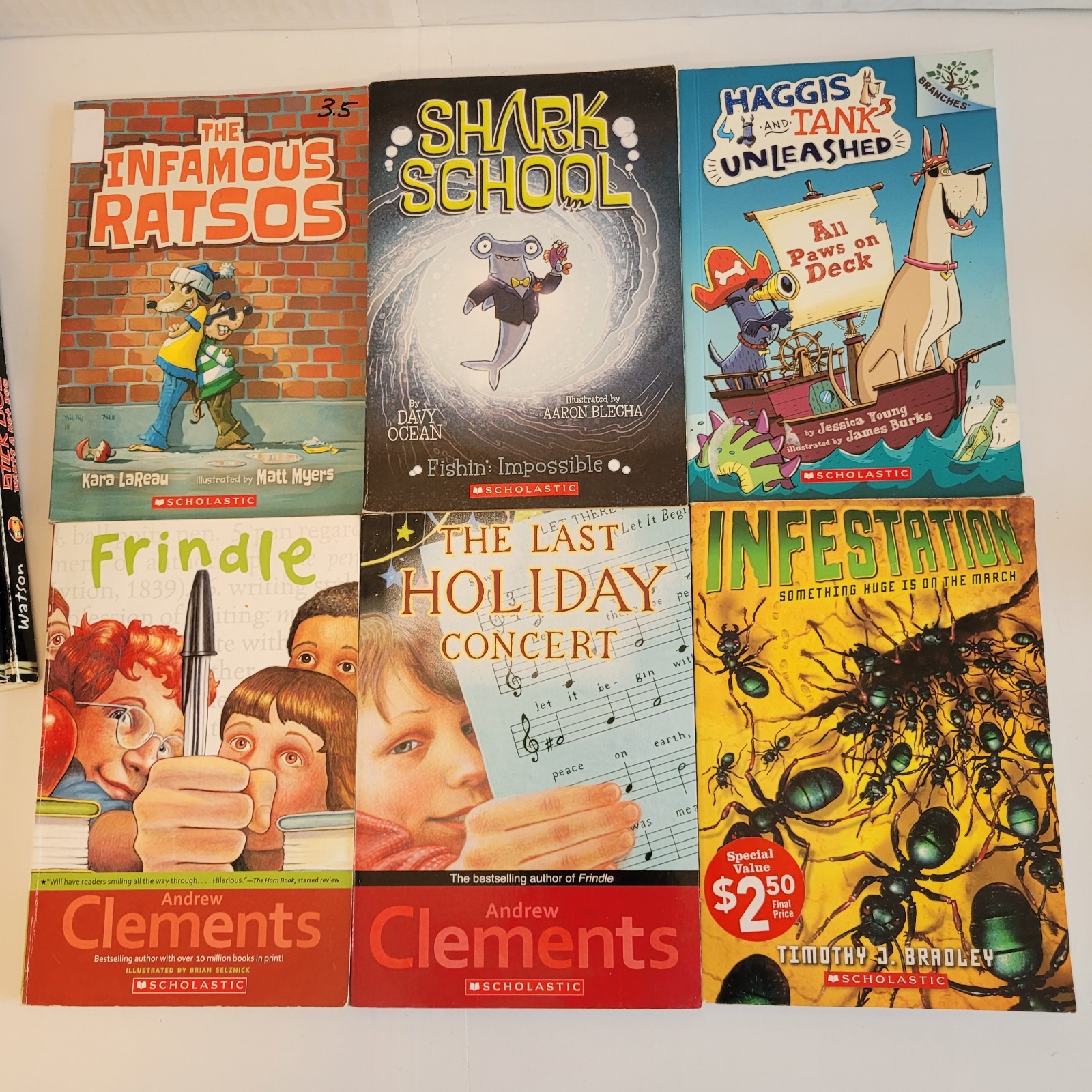 Boys 3rd/4th/5th/6th Grade Chapter Books Lot of 42 Homeschool PB Scholastic