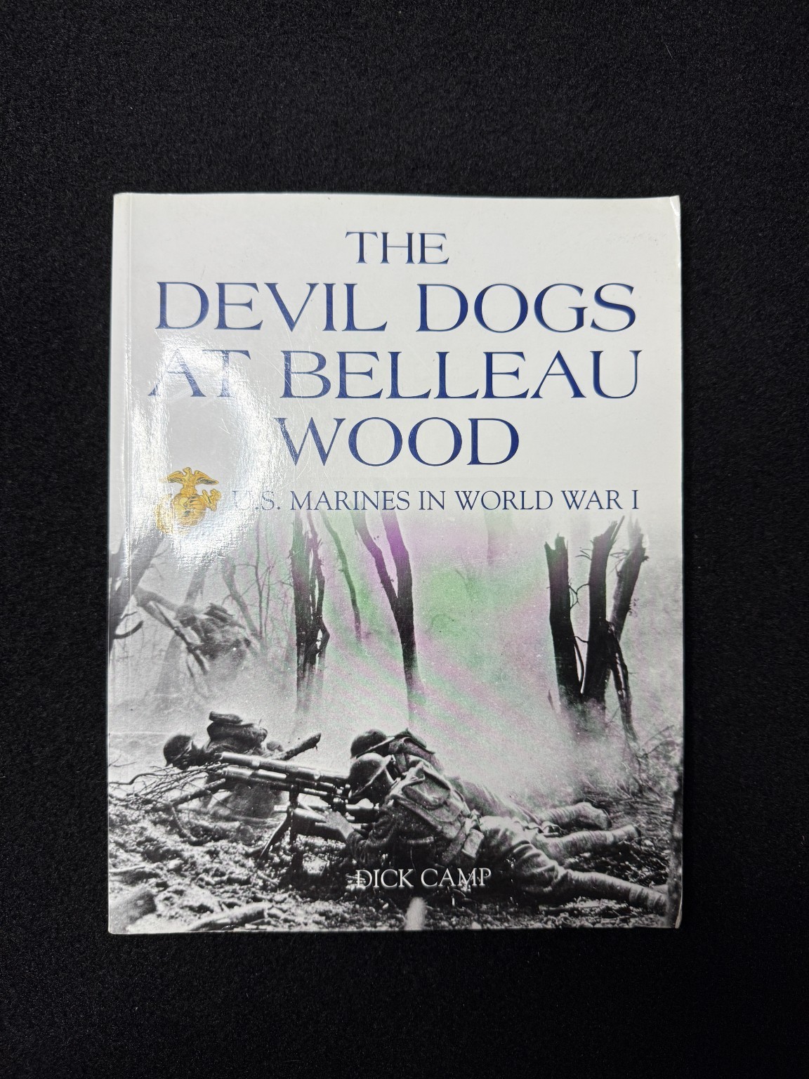 Devil Dogs at Belleau Wood U.S. Marines World War I Dick Camp 2008 Military WWI