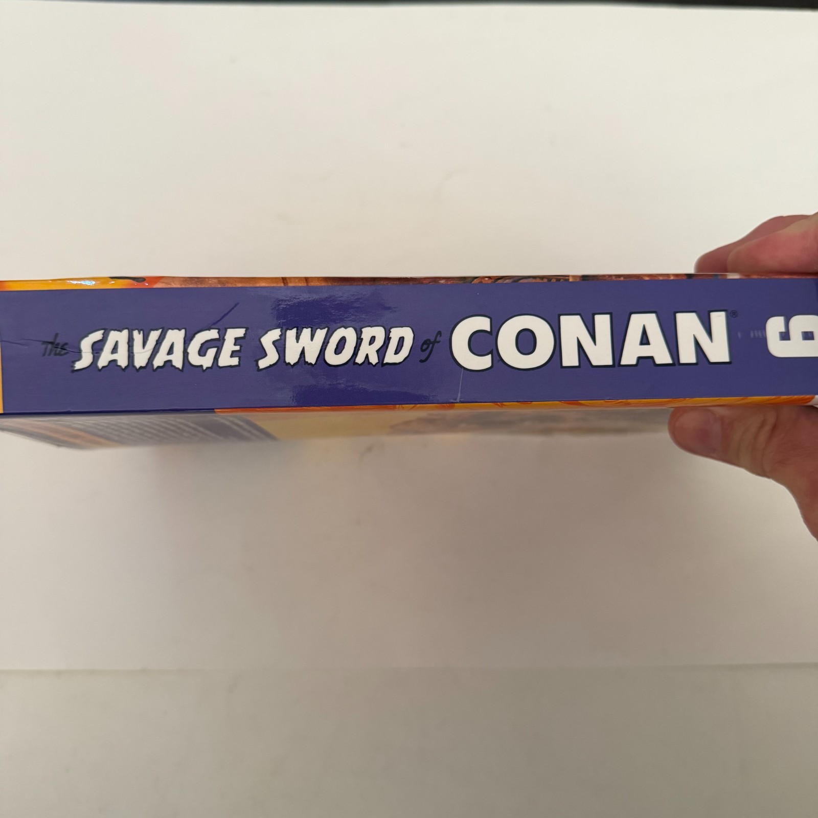 The Savage Sword of Conan Volume 6 Paperback 2009 Dark Horse First Edition