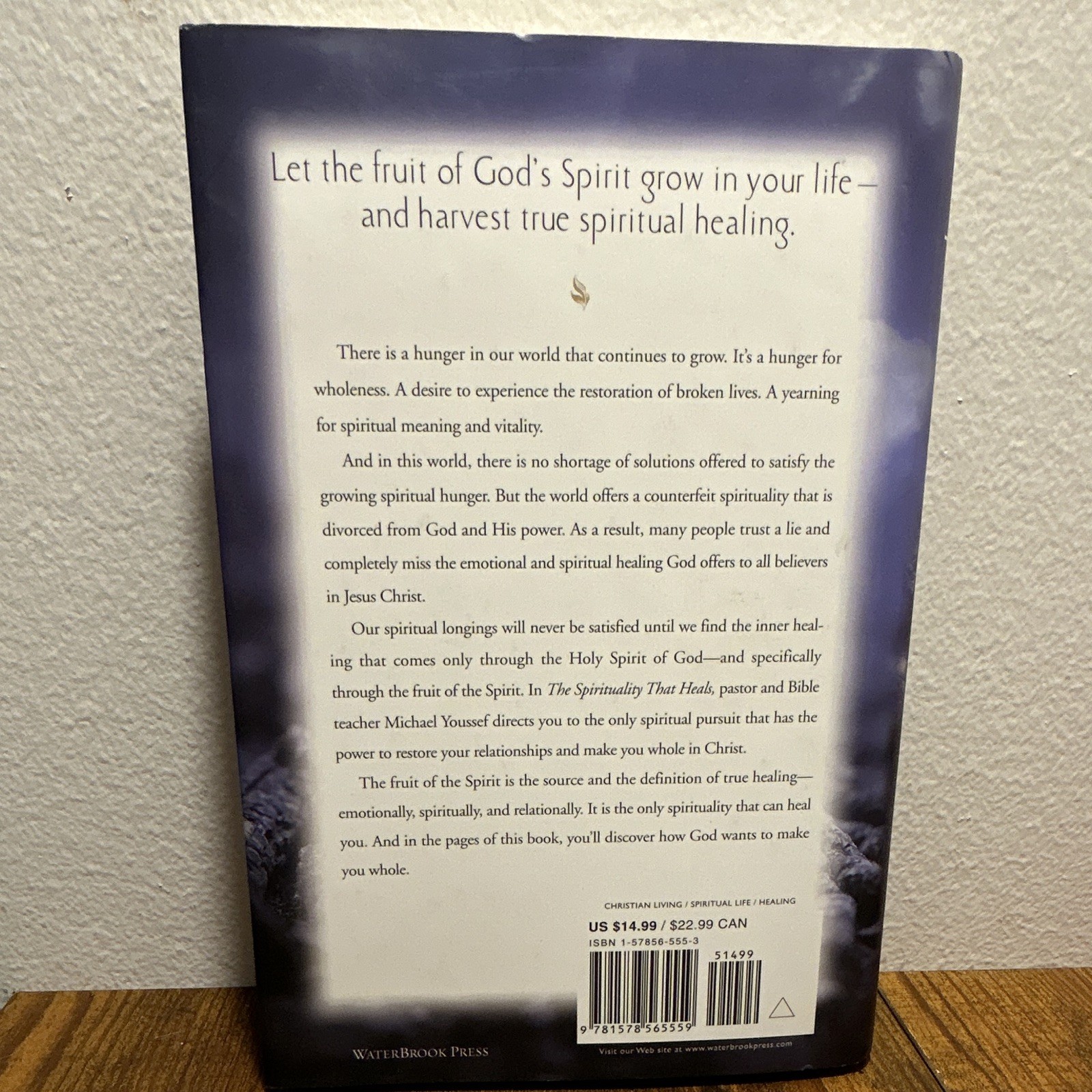 Michael Youssef The Spirituality That Heals God&rsquo;s Provision 2003 Hardcover