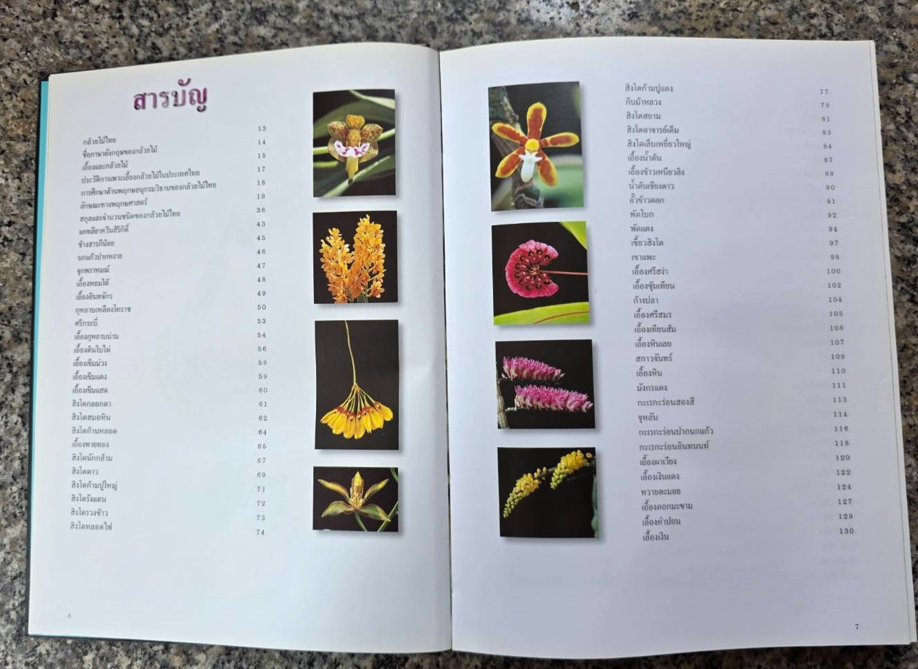 Hardcover book featuring all  » Thai orchids.  » ( Hardcover)