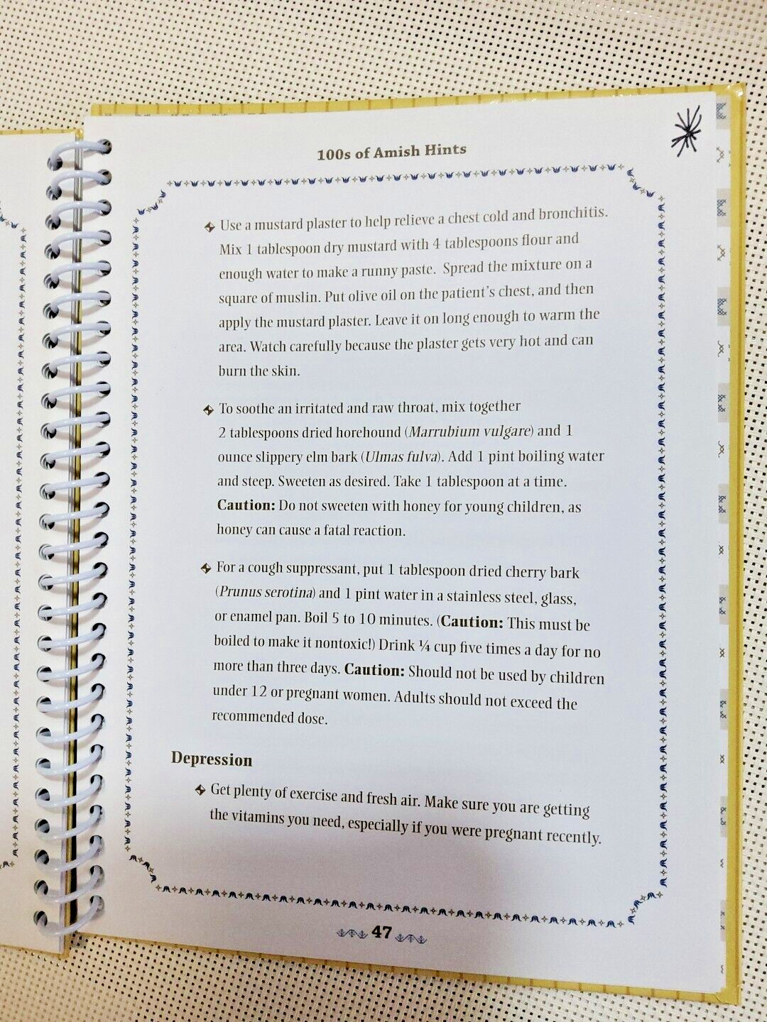 100&rsquo;s of Amish Hints Book Writing inside front flap