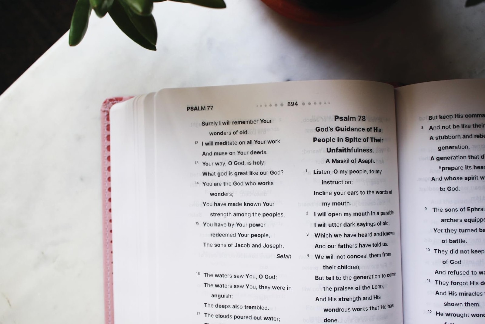 NASB, Clear Focus Bible, Leathersoft, Pink: Read more of the Bible with…