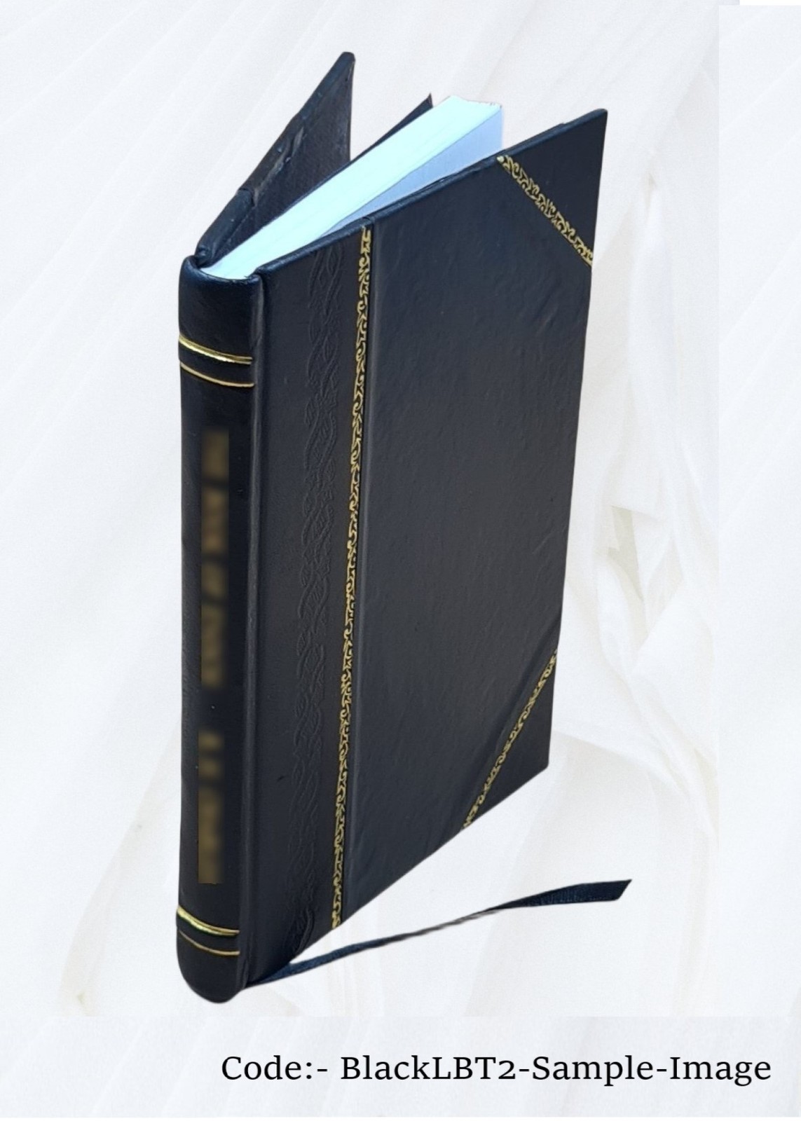 Exegesis: d. i. Verständliche Erklärung des Zwispalts vom h 1575 [Leather Bound