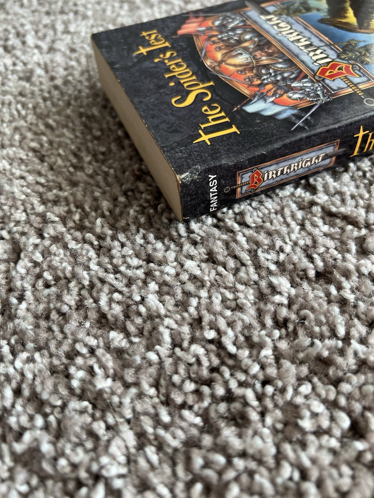 The Spider&rsquo;s Test by Dixie Lee McKeone (TSR, 1996) First Vintage Fantasy MMPB