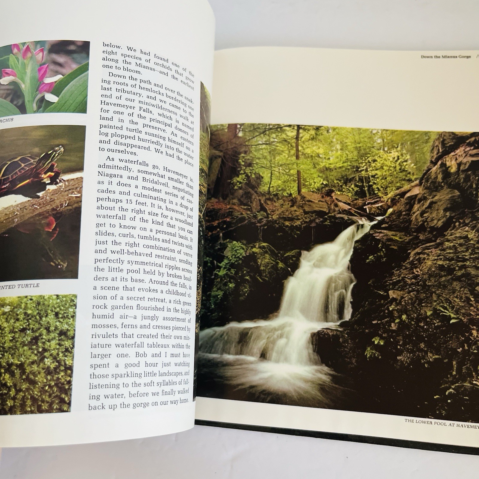 Vintage « The American Wilderness » Time Life Books Collection 1973 Lot of 7