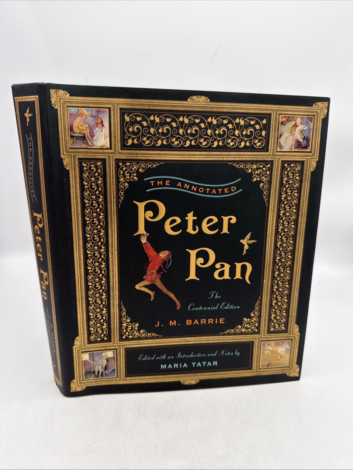 Annotated Peter Pan by J. M. Barrie (2011, Hardcover) Centennial Edition F
