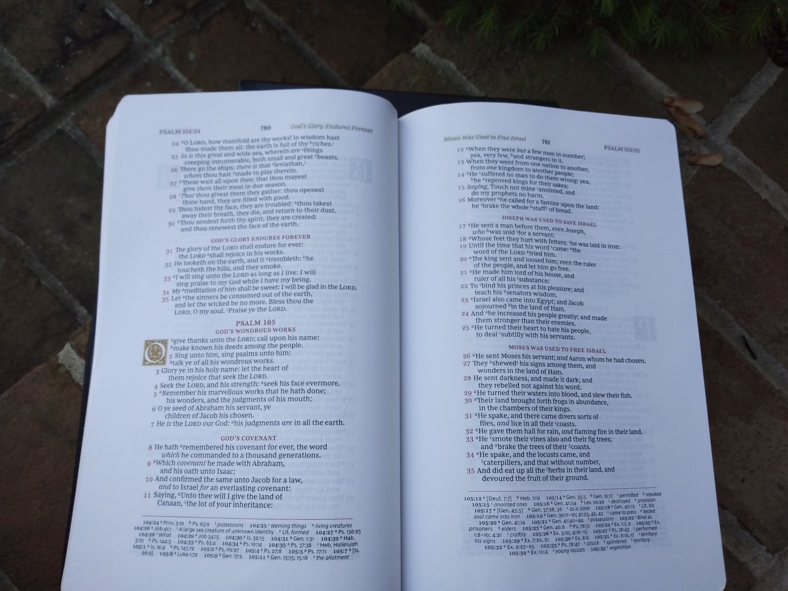 Kjv, Wide-Margin Reference Bible, Sovereign Collection, Genuine Leather, Black,