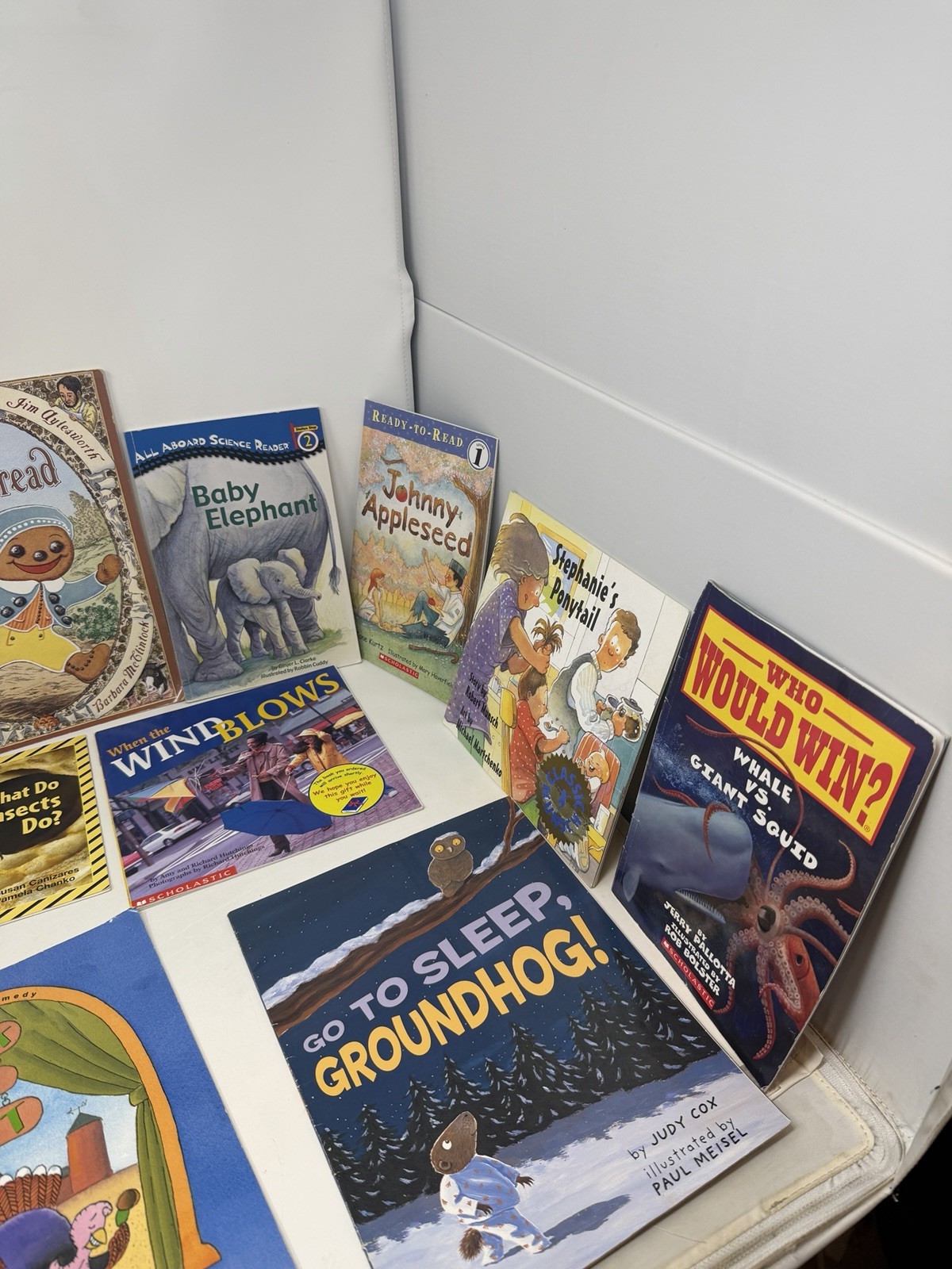 Children&rsquo;s Scholastic Picture Books Kids Paperback Storybook Storytime Lot of 12