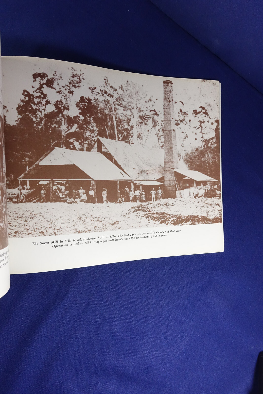 QUEENSLAND »S SUNSHINE COAST Shirley Fenton 1880s – 1980s PHOTOS PHOTOGRAPHY Book