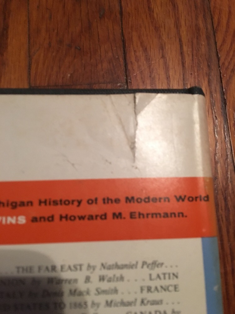 Germany: A Modern History (University of Michigan History of the Modern World)