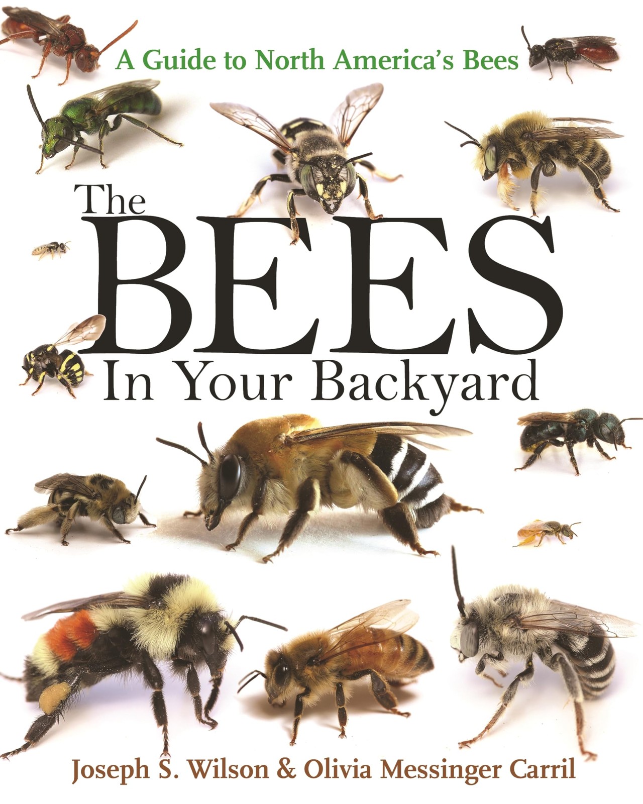 The Bees in Your Backyard: A Guide to North America&rsquo;s Bees