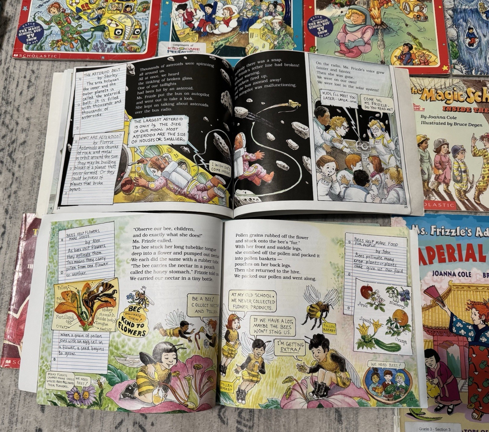 Magic School Bus Book Lot 18 Joanna Cole Scholastic