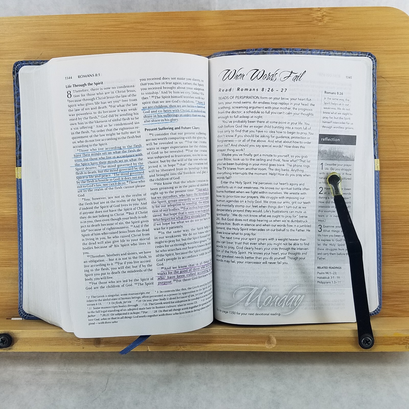 Women&rsquo;s Devotional Bible by Zondervan Staff (2012, Blue Leather, Special)