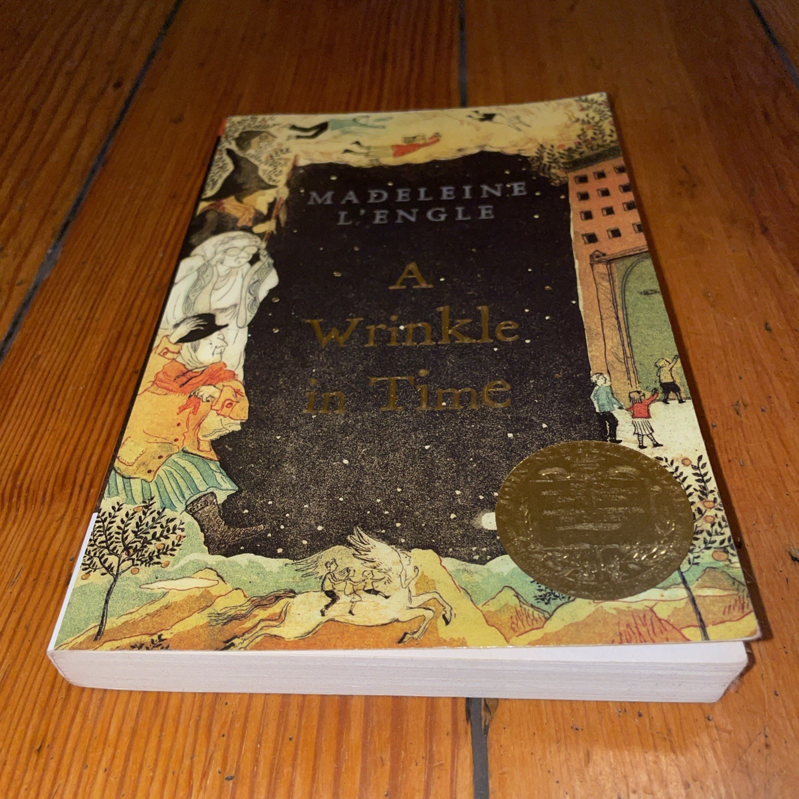 A Wrinkle In Time by Madaleine L&rsquo;Engle (2007 Square Fish Trade Paperback)