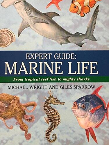 Expert Guide: Marine Life – Paperback – ACCEPTABLE