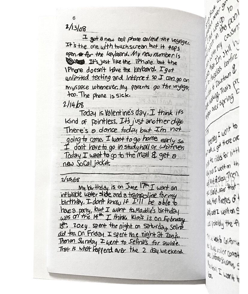 2008-2009 Used Handwritten Diary Dina Lilys Journal print copy vintage 103 pages