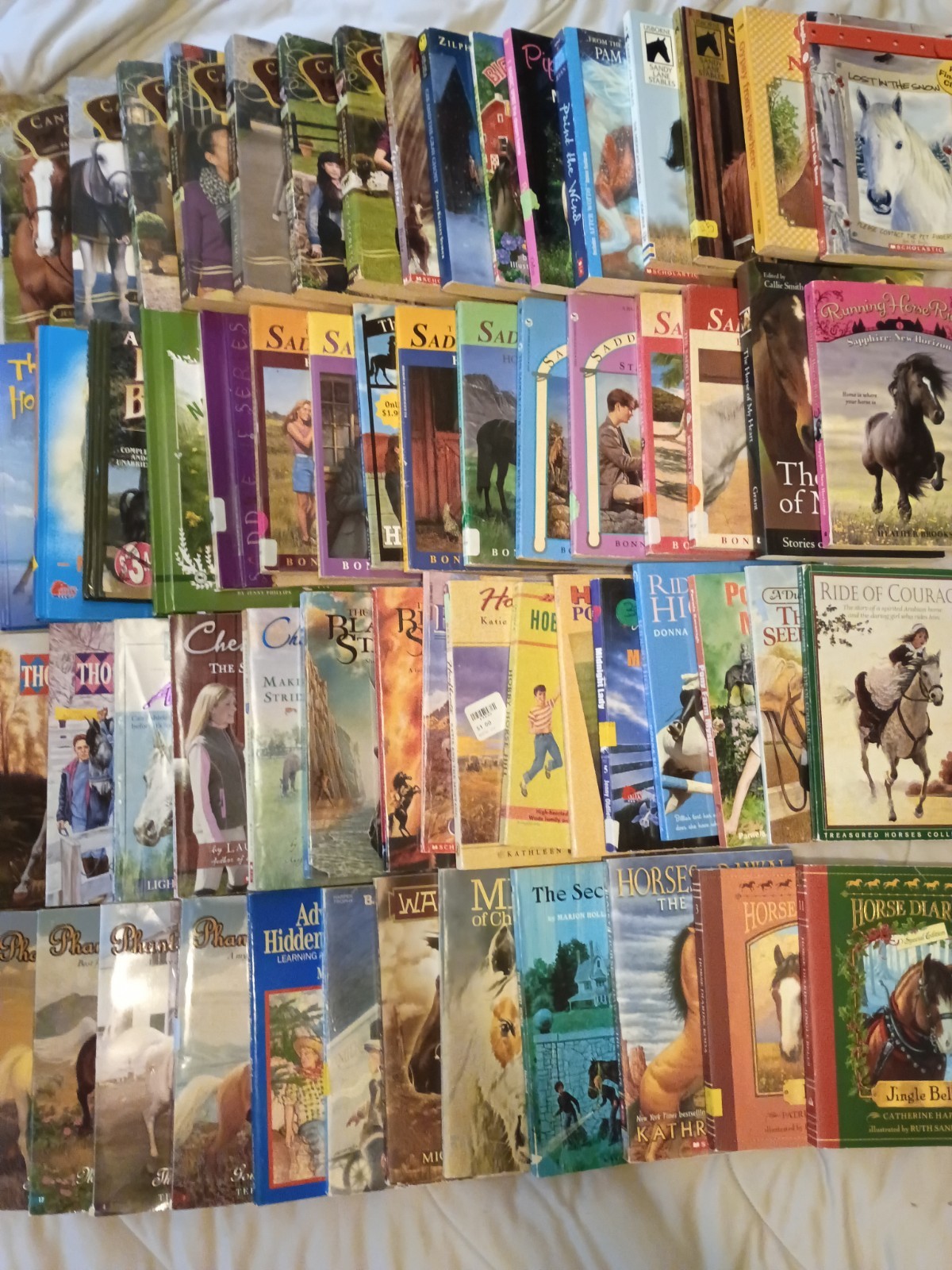 Lot 60+ Vintage to Now Children&rsquo;s Chapter Books On Horses Saddle Club More Read