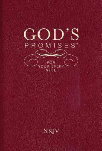 God&rsquo;s Promises for Your Every Need, NKJV – Paperback By Countryman, Jack – GOOD
