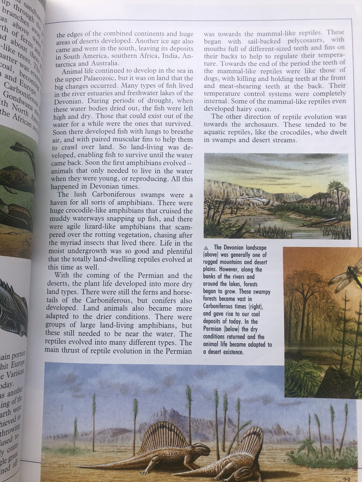 Illustrated Dinosaur Encyclopedia by Dougal Dixon (1988, Hardcover)