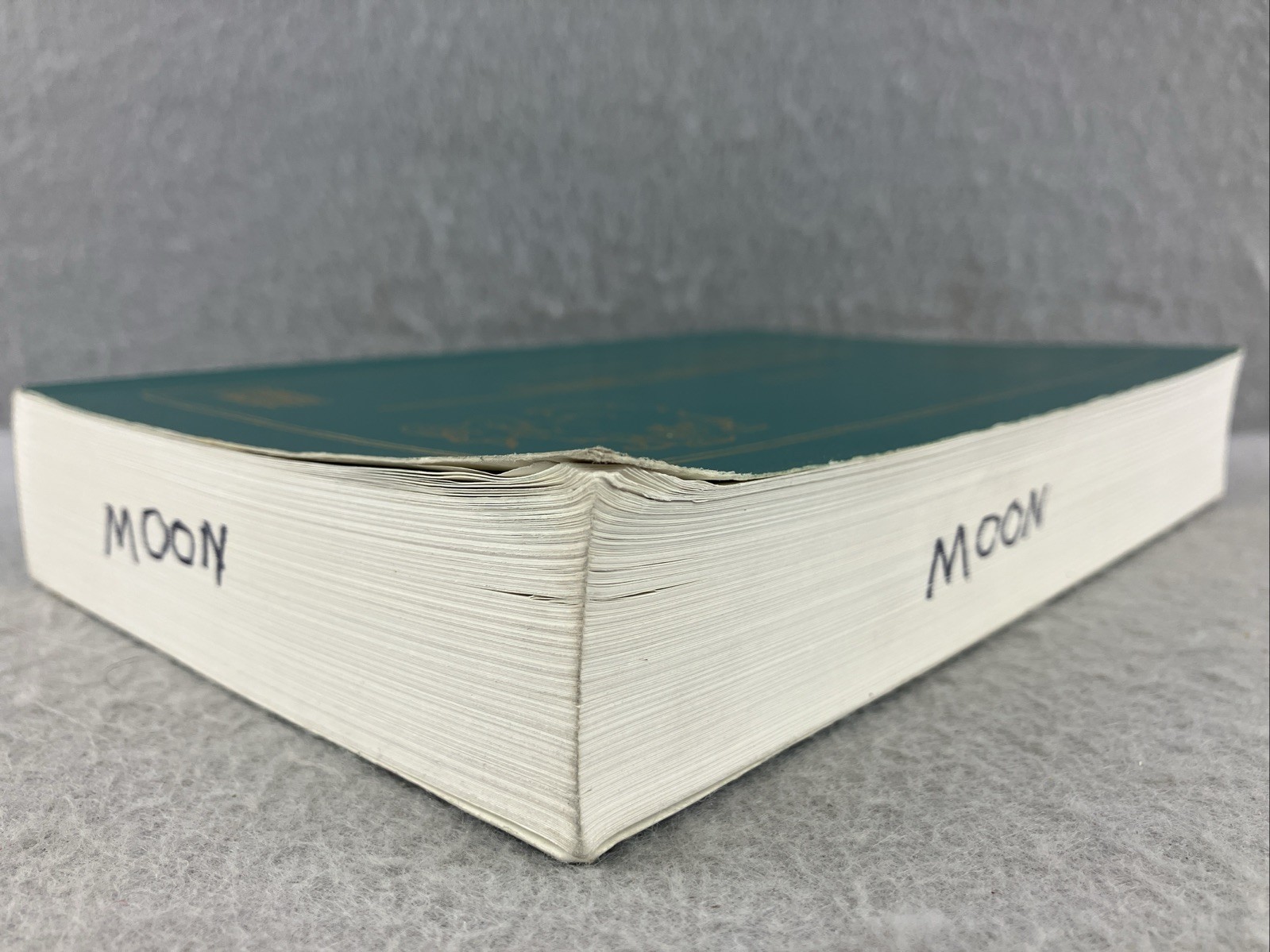 2nd Ed Volume 1 1999 TSCHAUNER&rsquo;S GUIDE TO SMALL ANIMAL CLINICS Chris Pasquini