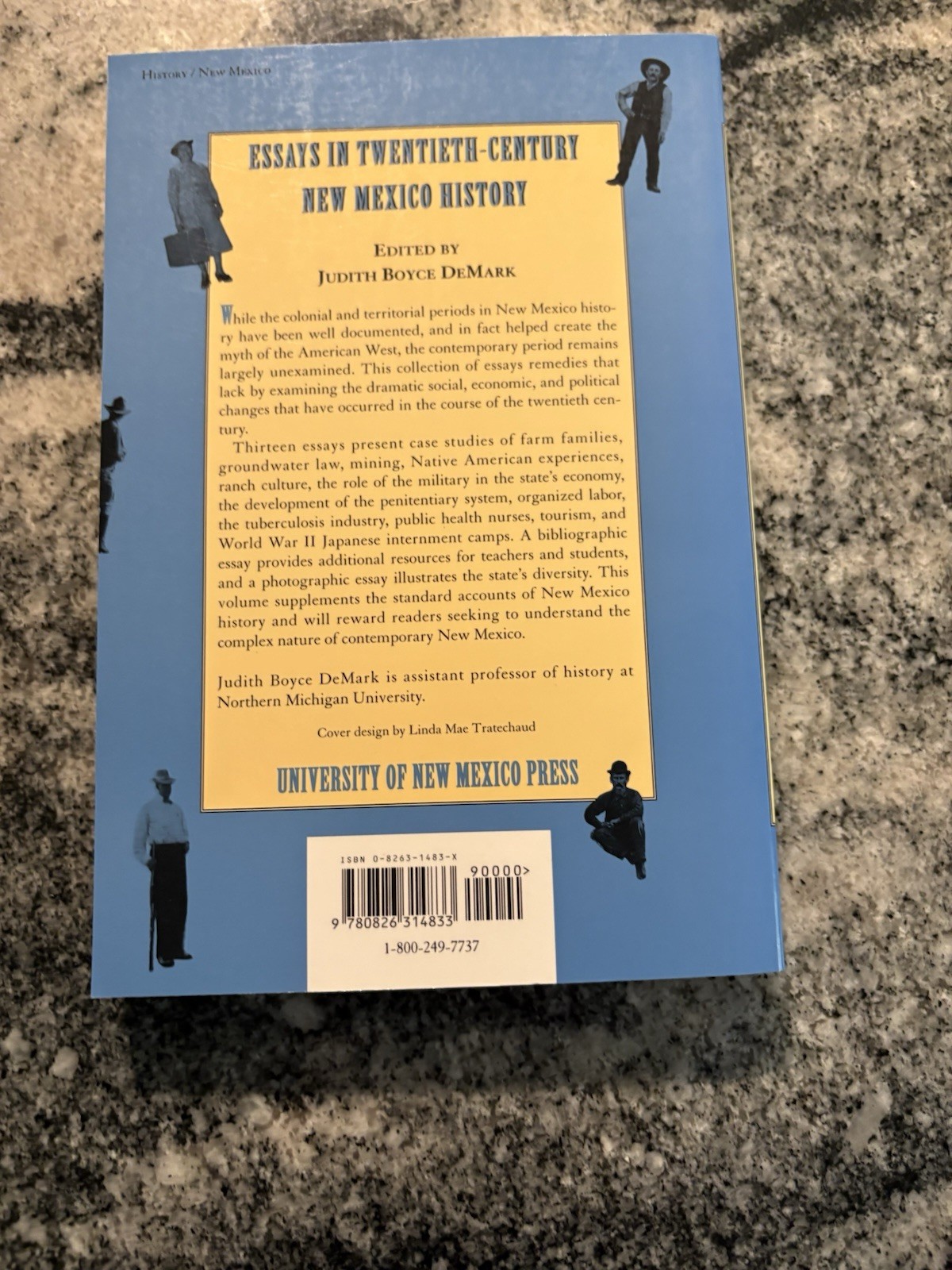 Essays In New Mexico 20th century A History Book Paperback Gift for Readers