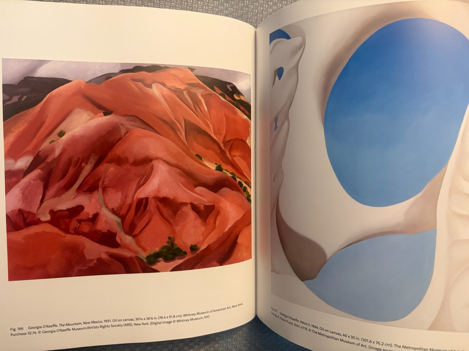 Georgia O&rsquo;Keeffe: Living Modern by Wanda Corn HC/DJ 2017