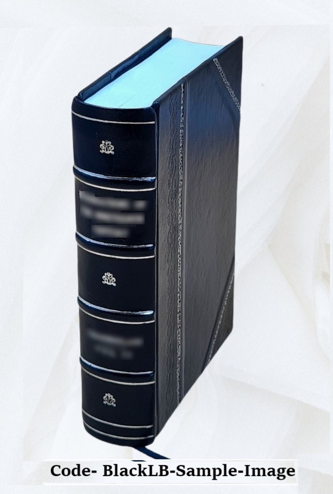 The Lady&rsquo;S Manual Of Homeopathic Treatment In The Various Derang [Leather Bound]